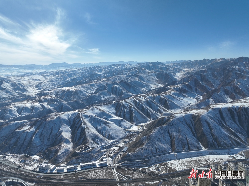 【轮播图】武威天祝草原成群狍鹿雪地悠闲“散步”_fororder_5