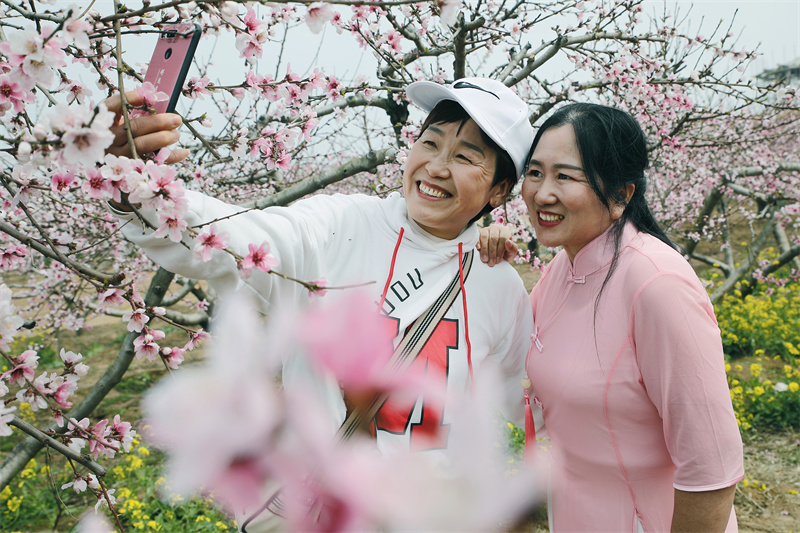 【原創】開封尉氏：桃花盛開春意濃_fororder_2023年3月19日，遊客們在河南省開封市尉氏縣門樓任鄉沙沃村的千畝桃花園遊玩、拍照。+(8)