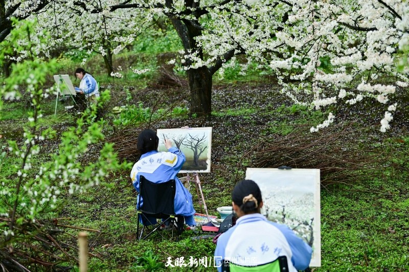 （中首）貴州黃平：小小畫筆“繪”春色