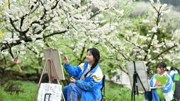 （中首）貴州黃平：小小畫筆“繪”春色