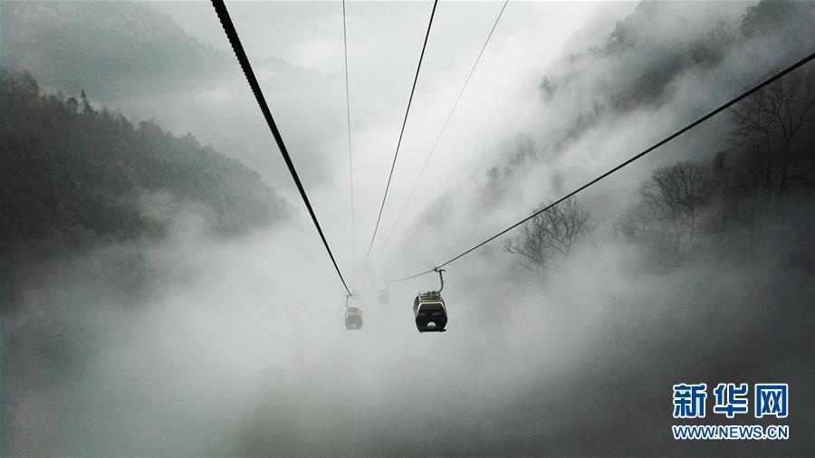 湖南張家界：雲海“水墨畫”