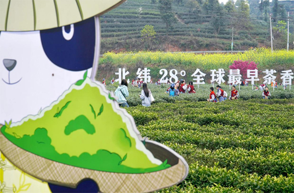 探究泸州纳溪振兴乡村的密码_fororder_未标题-4