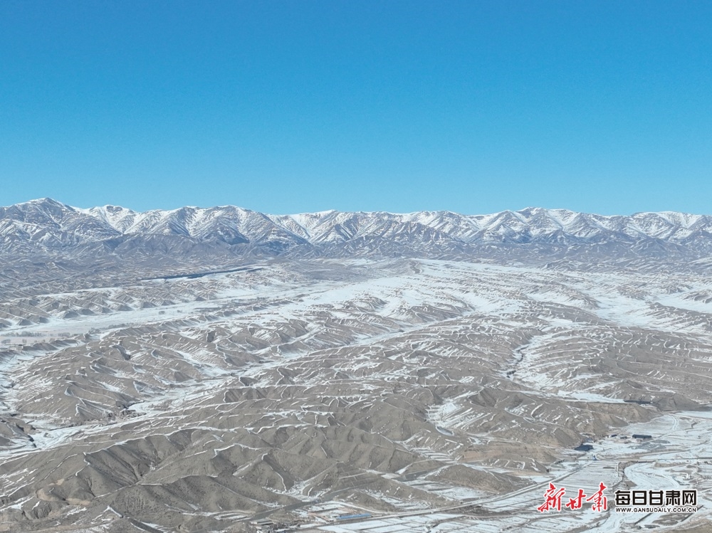 【轮播图】武威天祝草原成群狍鹿雪地悠闲“散步”_fororder_7