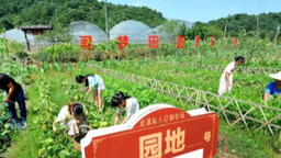 上饒市廣豐區東陽鄉：大抓基層強治理 奏響和美鄉村“三部曲”