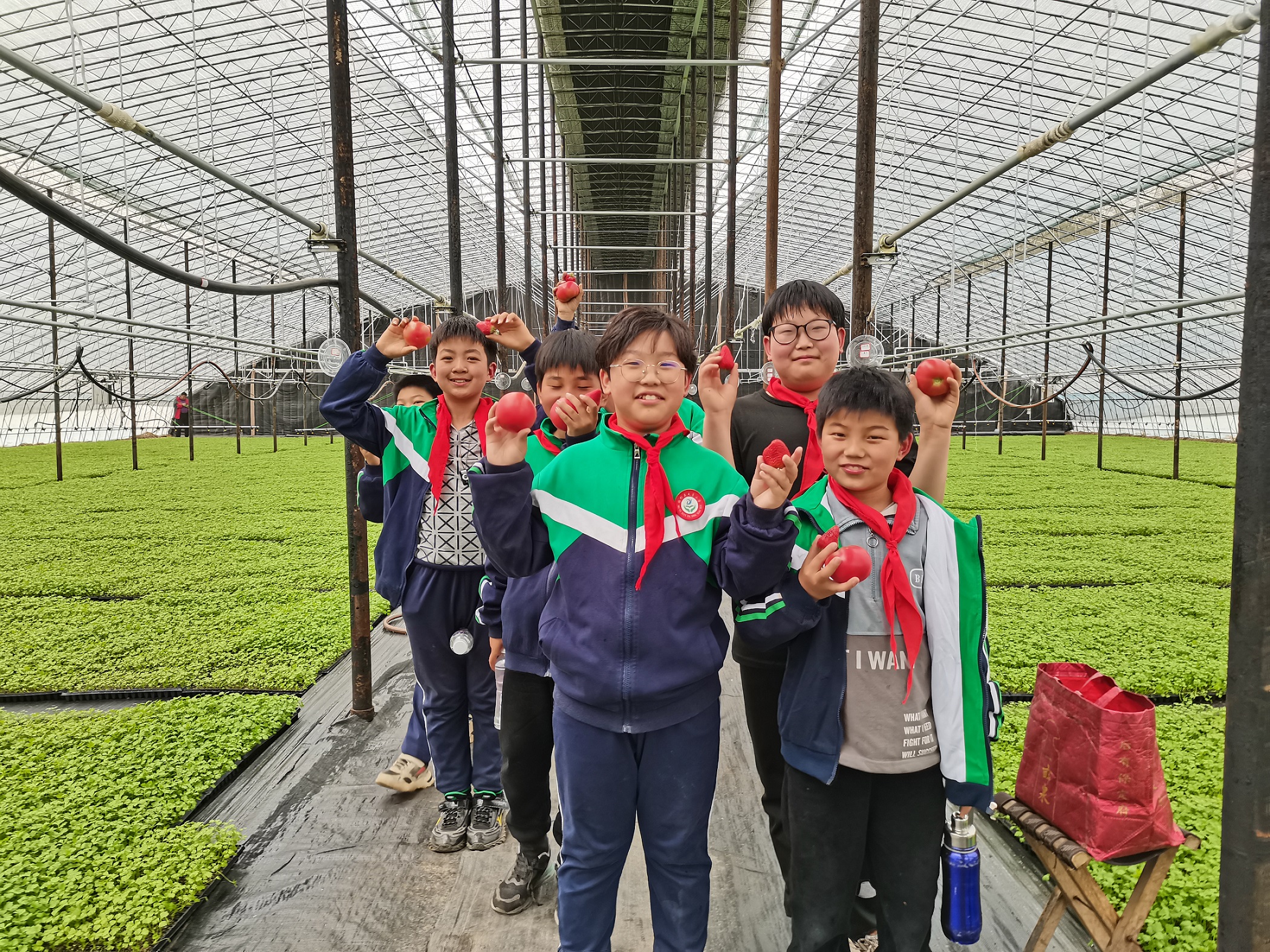 图片默认标题_fororder_4