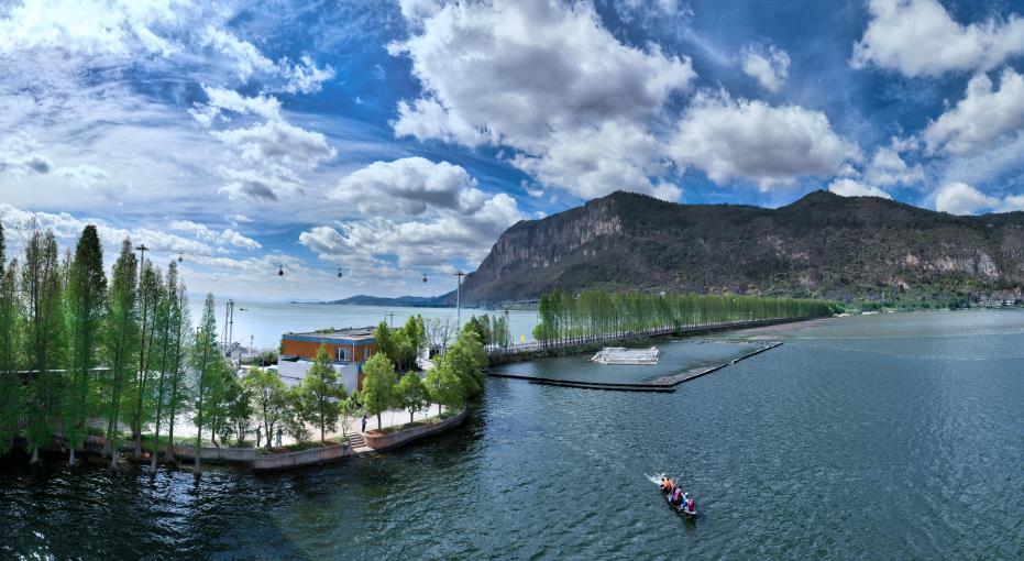 滇池中的海菜花又回来了_fororder_4