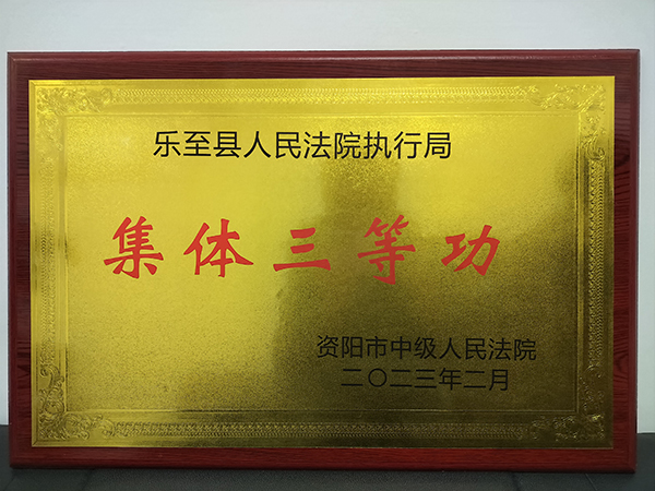 （张）资阳乐至张磊：群众之事无小事_fororder_集体三等功荣誉-供图-乐至县人民法院执行局