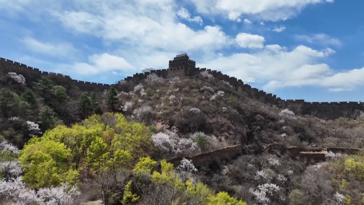 图片默认标题_fororder_图片59