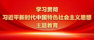 学习贯彻习近平新时代中国特色社会主义思想主题教育_订单_ad-371X160（2）