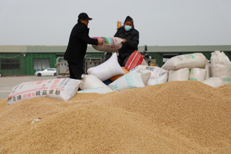 图片默认标题_fororder_图片1