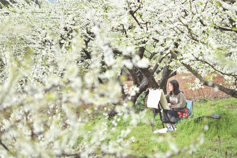 さつき 雪中の松 白花-