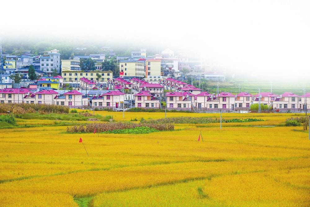 德宏州高品質推進現代化邊境幸福村建設_fororder_38d