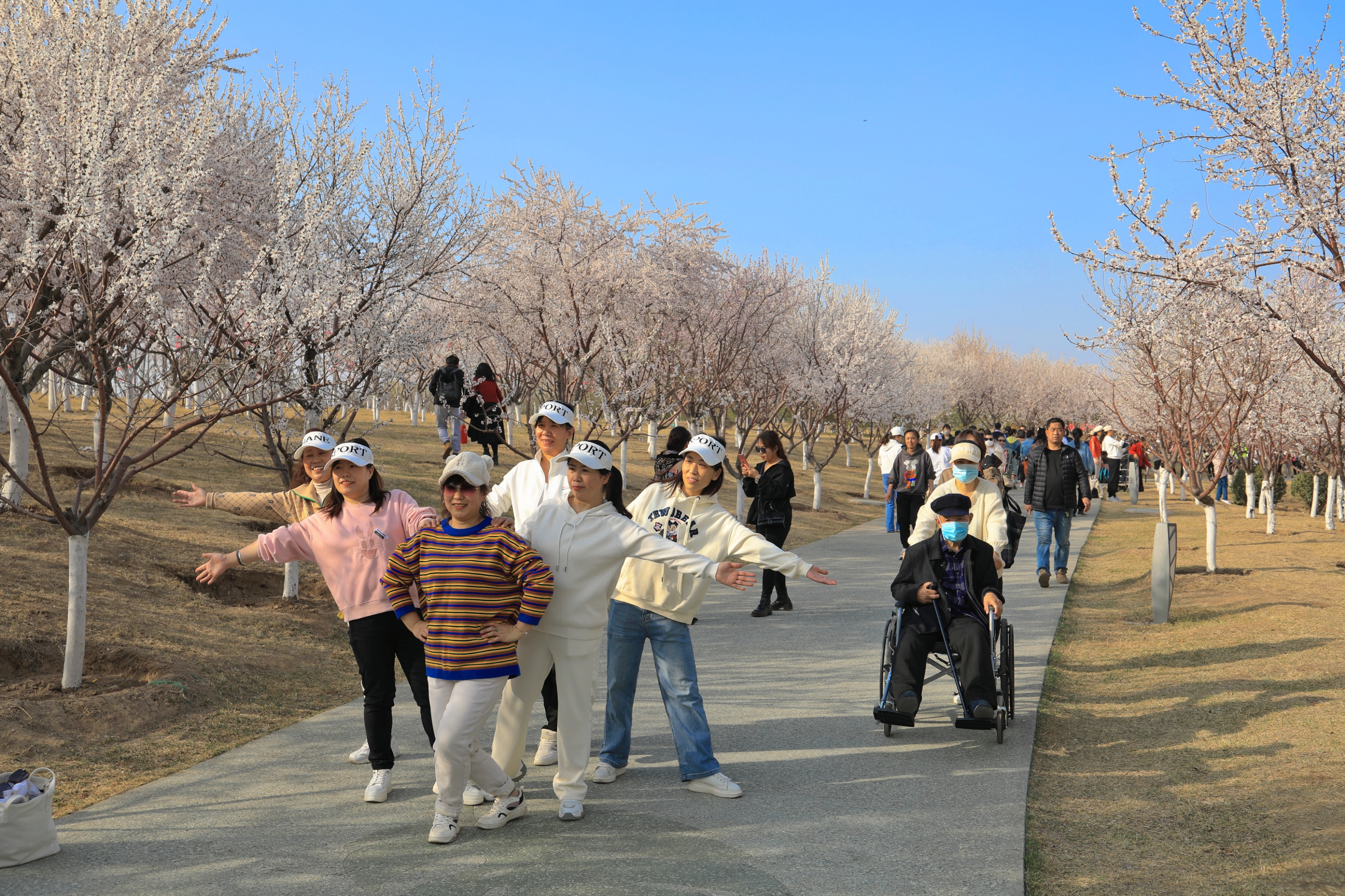 太原晋阳湖畔桃花盛放_fororder_1