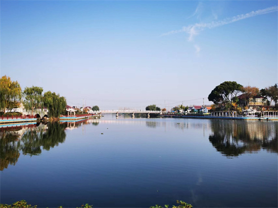 泰州兴化市戴南镇村干部培训周活动组织观摩放亮项目