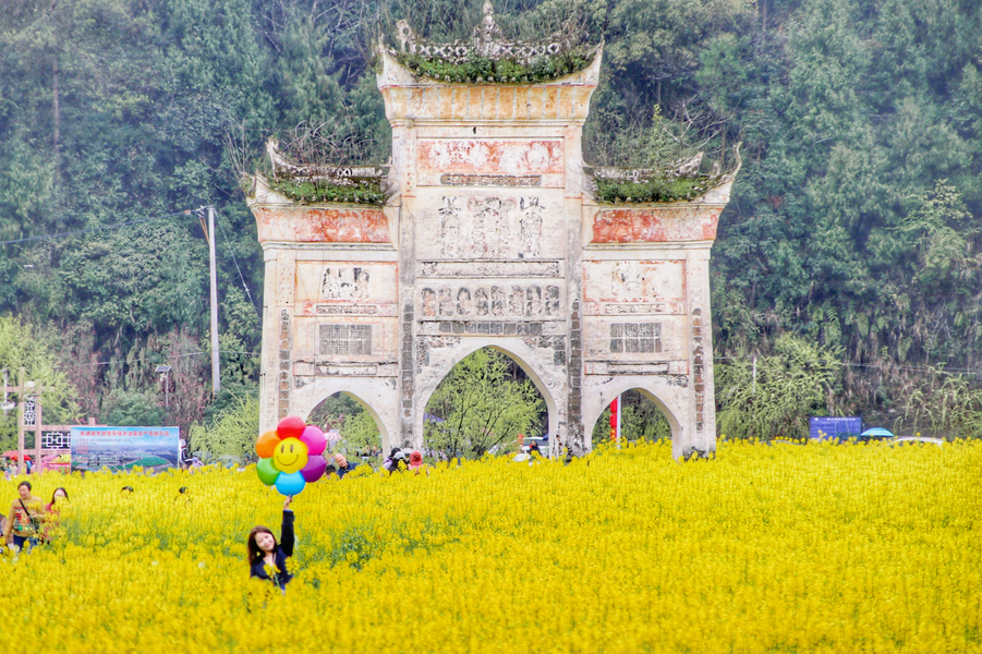 多彩貴州·花漾中國丨遵義鳳岡長磧 古寨裏的春日盛景