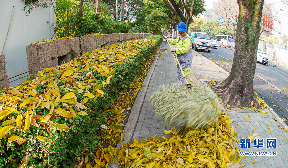 福州奇景：春风吹闽江 落叶满榕城