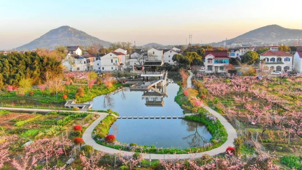 “桃花之约”！无锡阳山半马将火热开跑