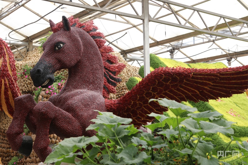 第二十四届中国（寿光）国际蔬菜科技博览会亮点纷呈