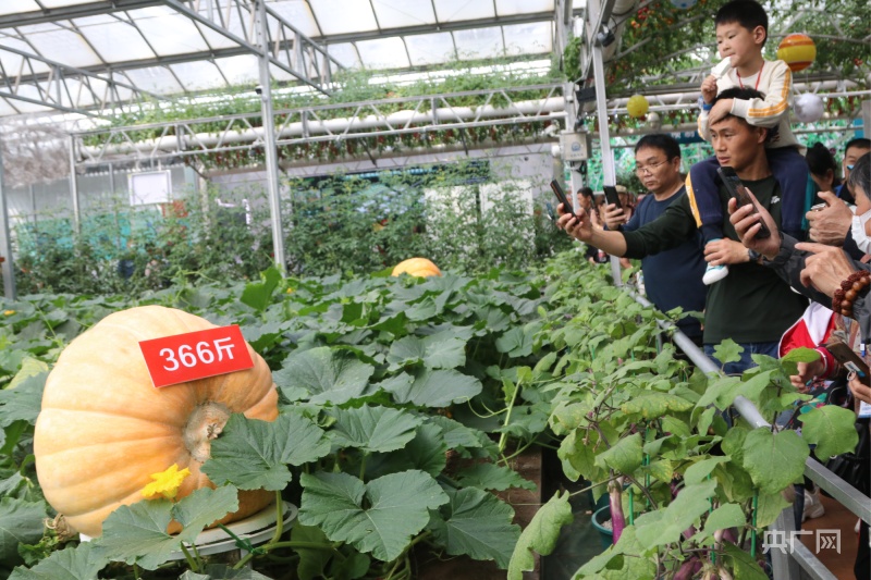 第二十四届中国（寿光）国际蔬菜科技博览会亮点纷呈