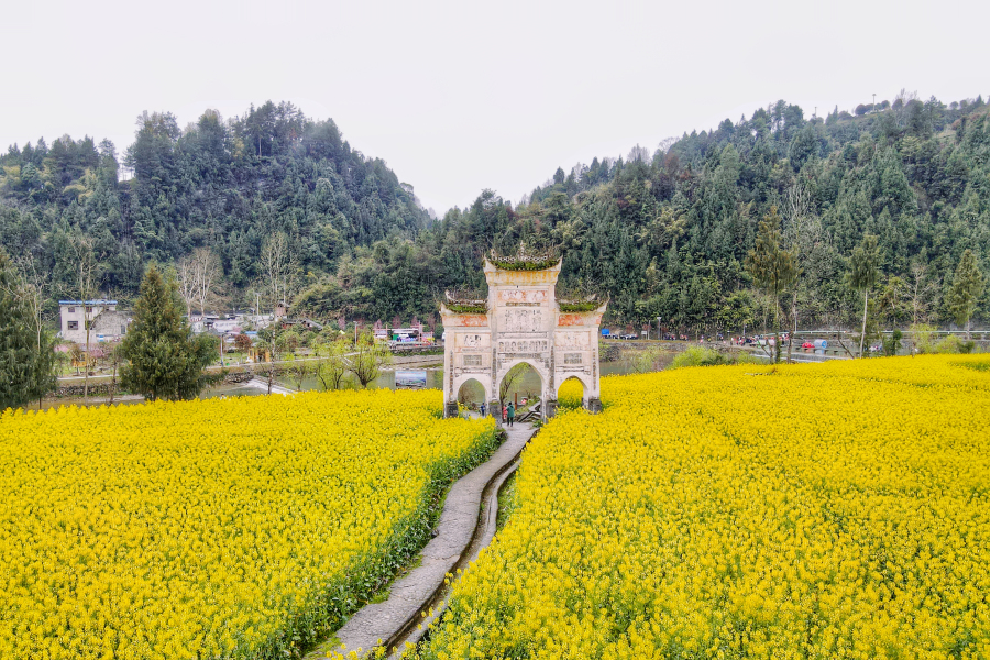 多彩貴州·花漾中國丨遵義鳳岡長磧 古寨裏的春日盛景