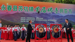 泉州市永春县苏坑镇举办首届佛手开茶节