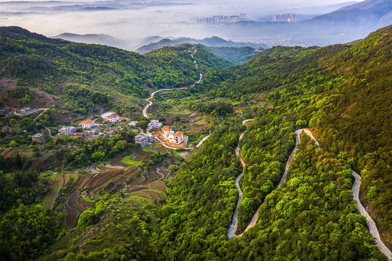 福建惠安：厚植生態底色 做好“山水”文章_fororder_圖片2