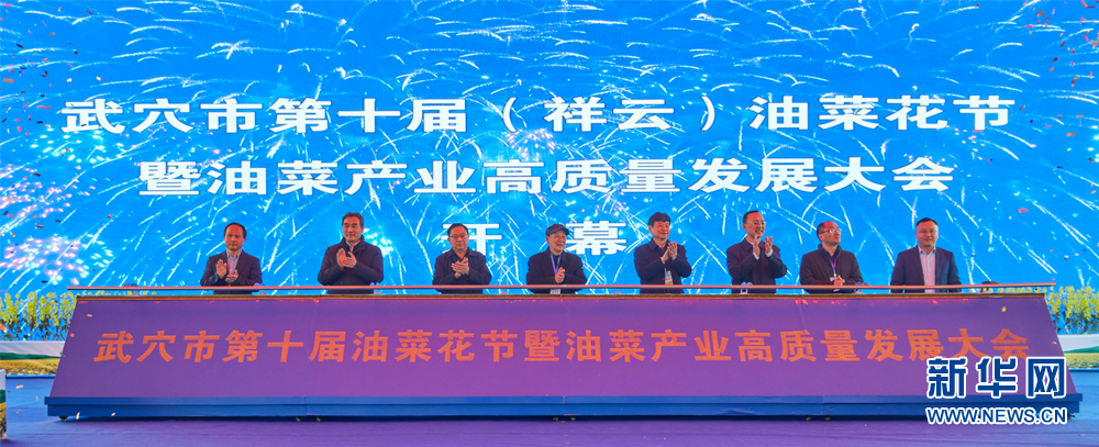 共赴花海之約 黃岡武穴市第十屆(祥雲)油菜花節開幕