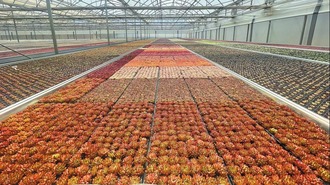 云南玉溪农业现代化的破局之举