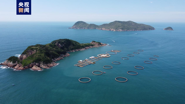 大海深处建粮仓 看广东发展海洋经济的“减法”“加法”“乘法”