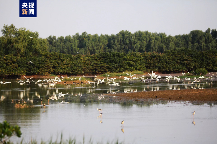 大海深处建粮仓 看广东发展海洋经济的“减法”“加法”“乘法”