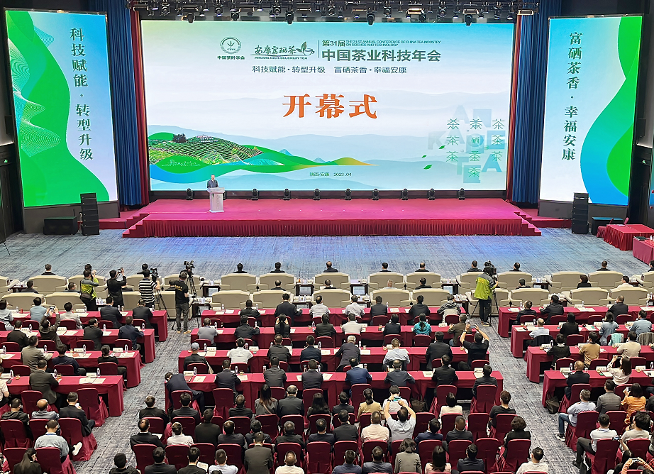 科技赋能 第31届中国茶业科技年会在安康开幕_fororder_图片3