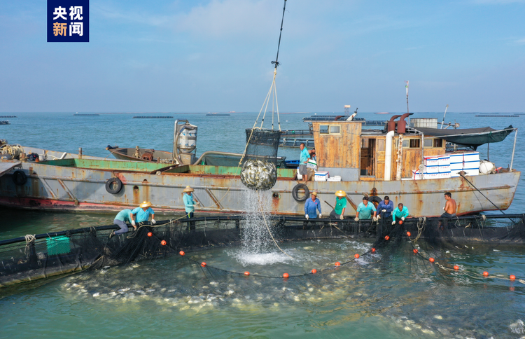 大海深处建粮仓 看广东发展海洋经济的“减法”“加法”“乘法”