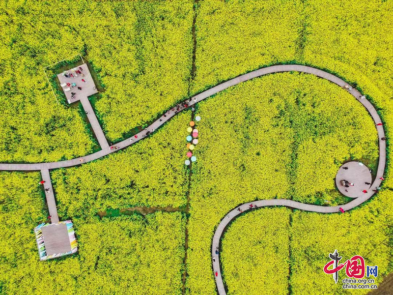 （转载）研学正当时！带孩子来新津快乐成长