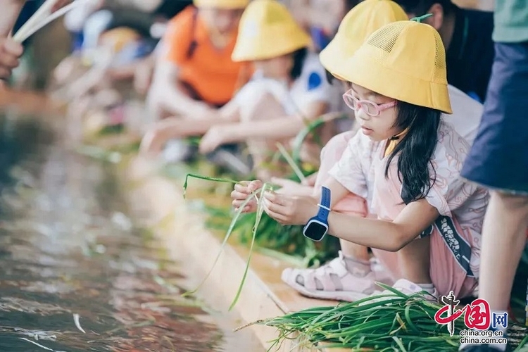 （转载）研学正当时！带孩子来新津快乐成长