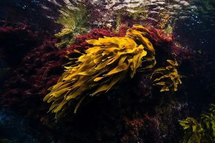 可持续设计的CMF设计