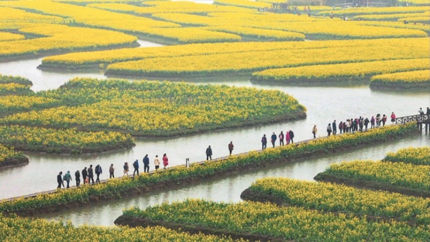 2023中國·興化千垛菜花旅遊節開幕