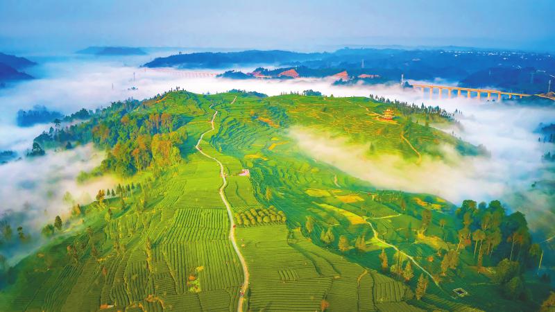 世界茶文化博物馆：在这里，翻开5000年茶文化大事记_fororder_2