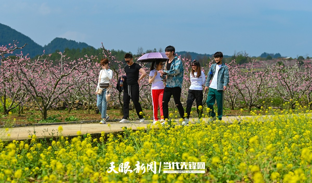 贵阳永乐：灼灼桃花笑春风_fororder_微信图片_20230324082449