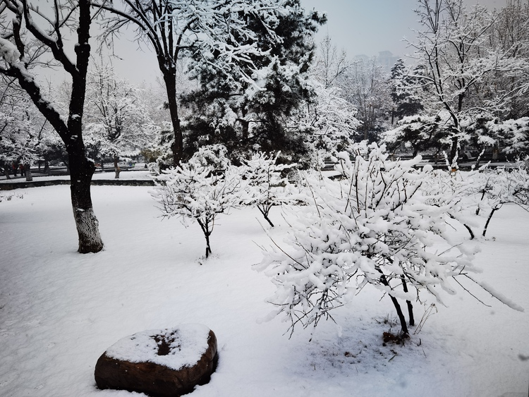 Живописный снежный пейзаж в парке Дунхуань_fororder_图片18