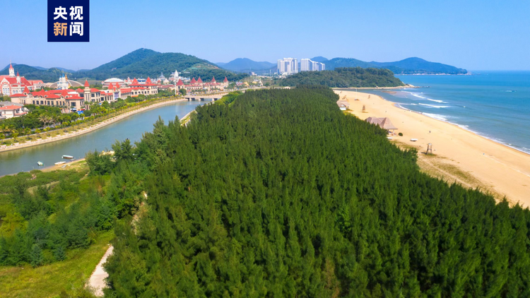 大海深处建粮仓 看广东发展海洋经济的“减法”“加法”“乘法”