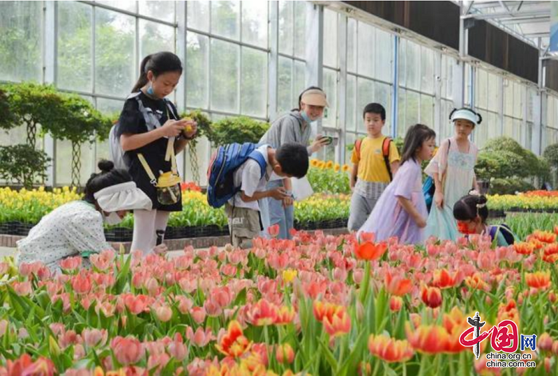 （转载）研学正当时！带孩子来新津快乐成长