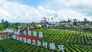穹窿秘境 茶香四溢 自贡荣县第十四届茶旅风情季开幕