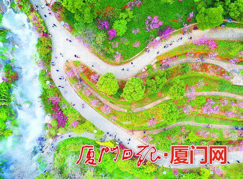 【旅遊 列表】【滾動新聞】【地市 廈門】遊爛漫花海享明媚春光 廈門海滄一年四季可看花