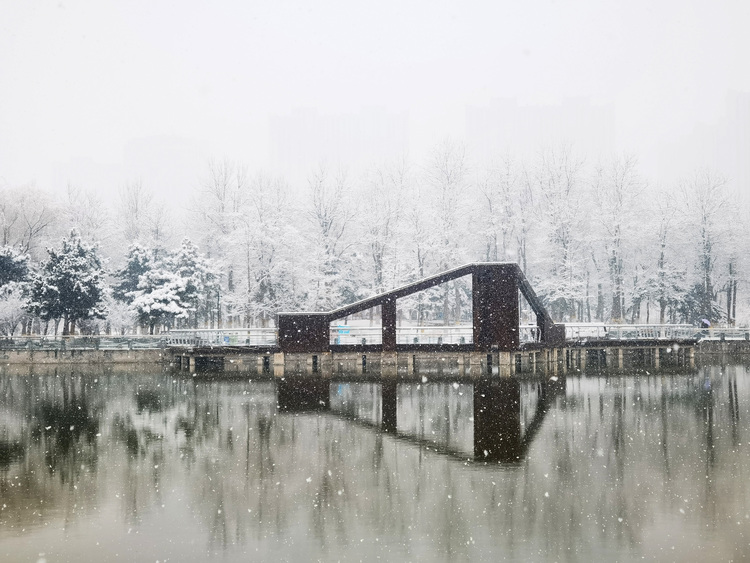 Donghuan-Park in Shijiazhuang bietet eine malerische Schneelandschaft_fororder_图片14