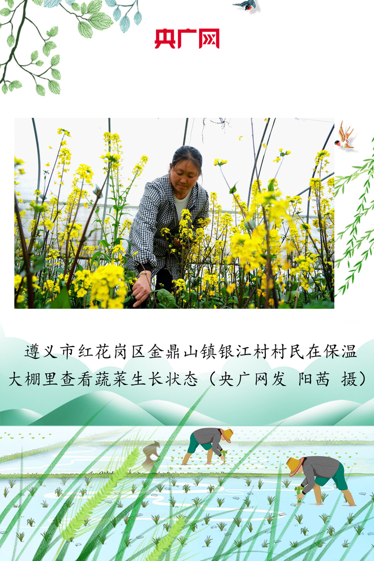 贵州：绘好“春耕图” 孕育“丰收景”