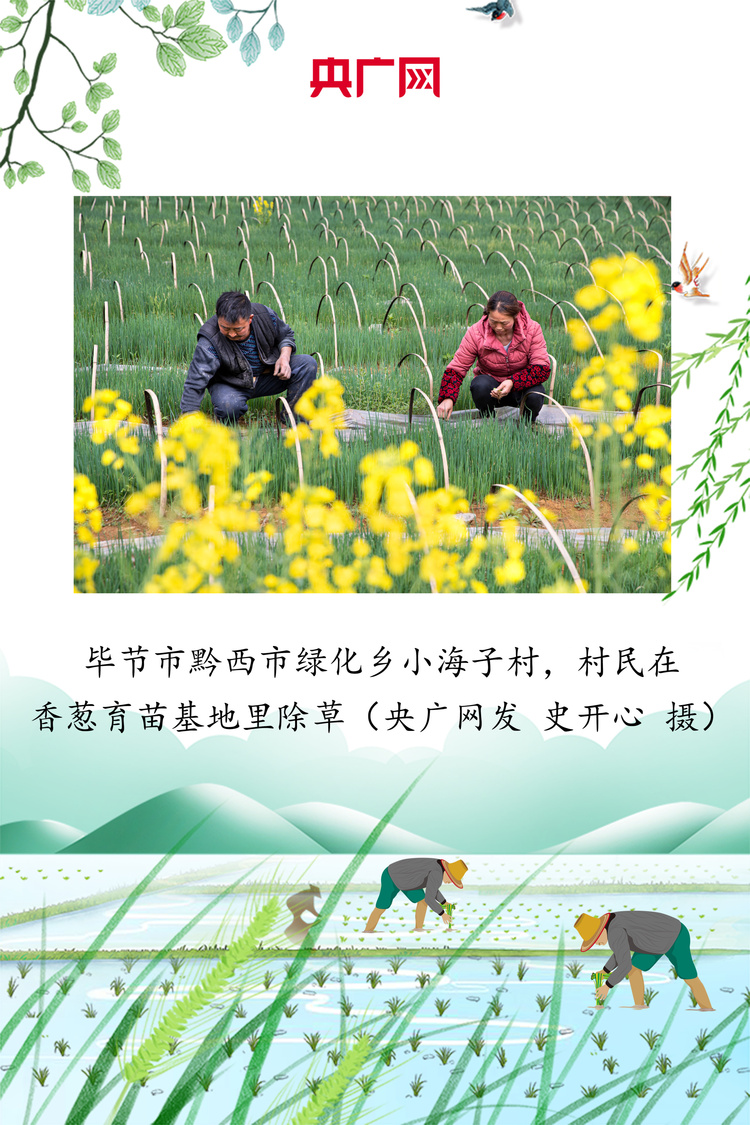 贵州：绘好“春耕图” 孕育“丰收景”