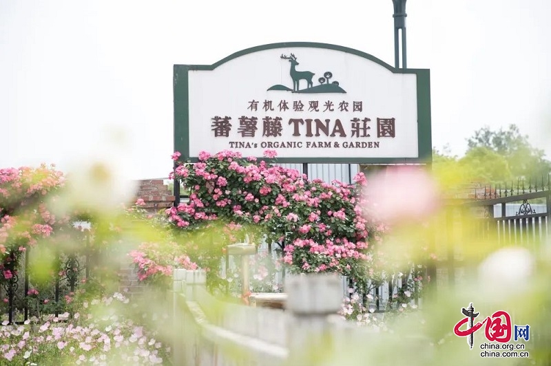 （转载）研学正当时！带孩子来新津快乐成长