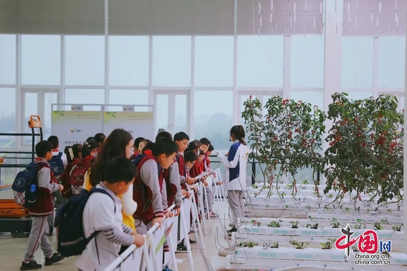 （转载）研学正当时！带孩子来新津快乐成长