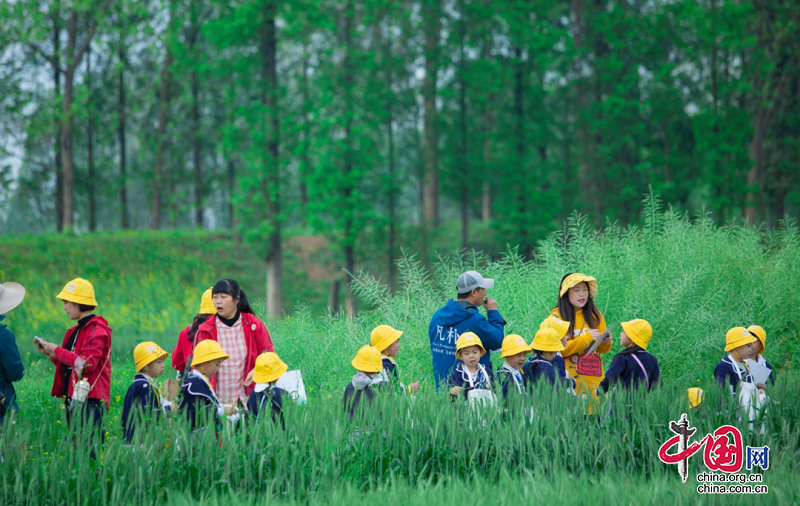 （转载）研学正当时！带孩子来新津快乐成长