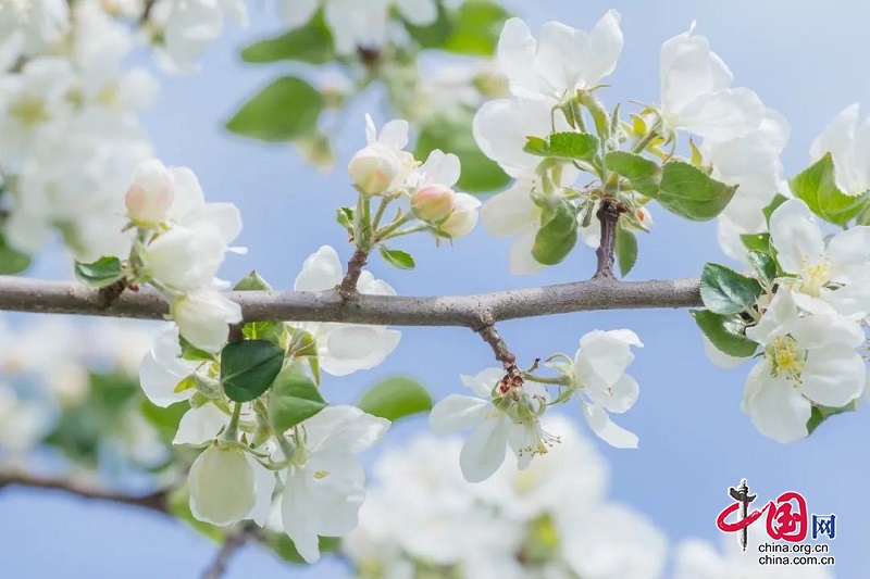 （转载）研学正当时！带孩子来新津快乐成长